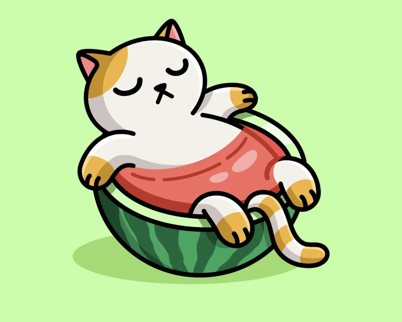 Watermelon cat